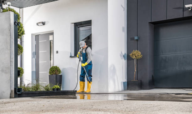 Best Fence Cleaning and Maintenance in Carney, MD
